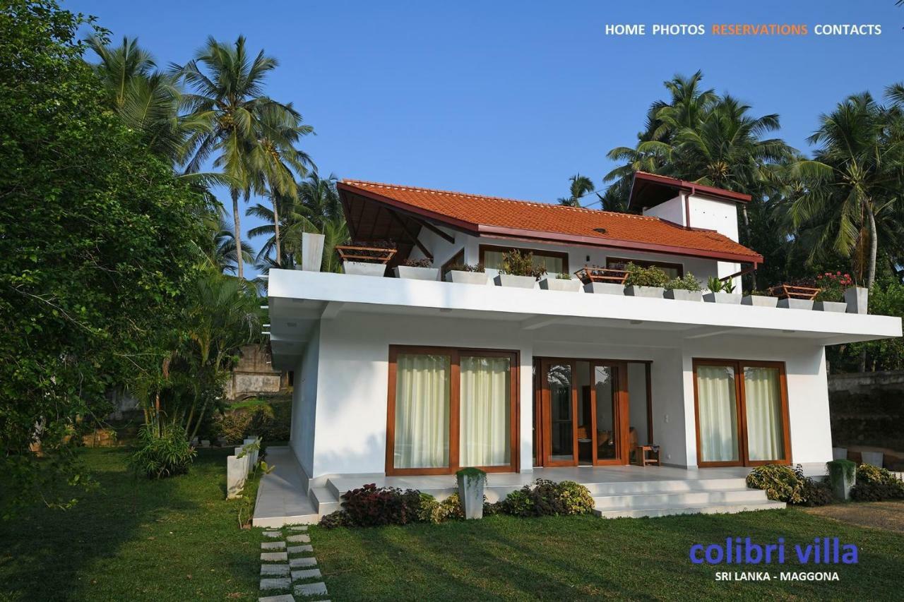 Colibri Villa Maggona Dış mekan fotoğraf