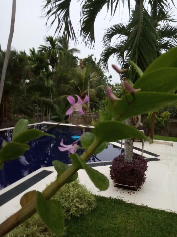 Colibri Villa Maggona Dış mekan fotoğraf